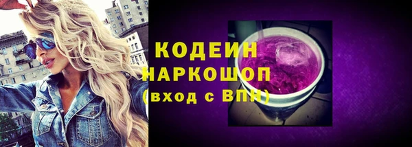 молекула духа Няндома