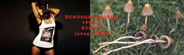 стаф Нягань