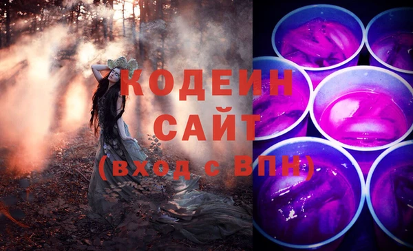 шишки Нязепетровск