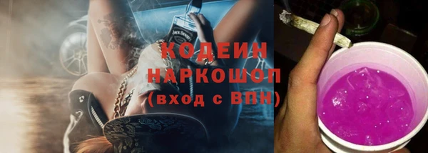 шишки Нязепетровск