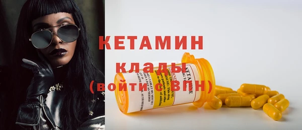 сатива Новокубанск
