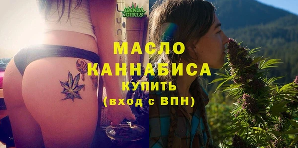 твердый Новозыбков