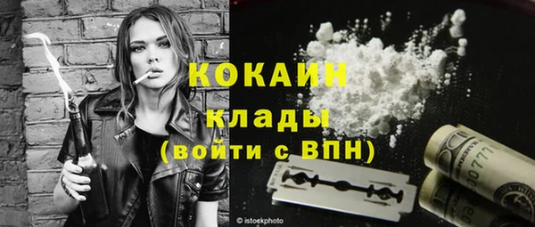 молекула духа Няндома