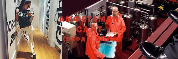 сатива Новокубанск