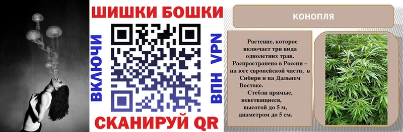 где можно купить наркотик  Навашино  Шишки марихуана марихуана 